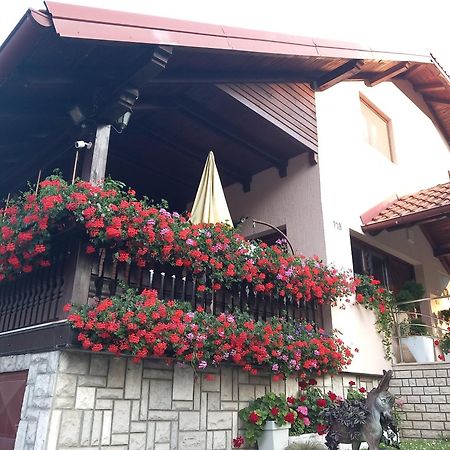Apartment Vihor Златибор Экстерьер фото