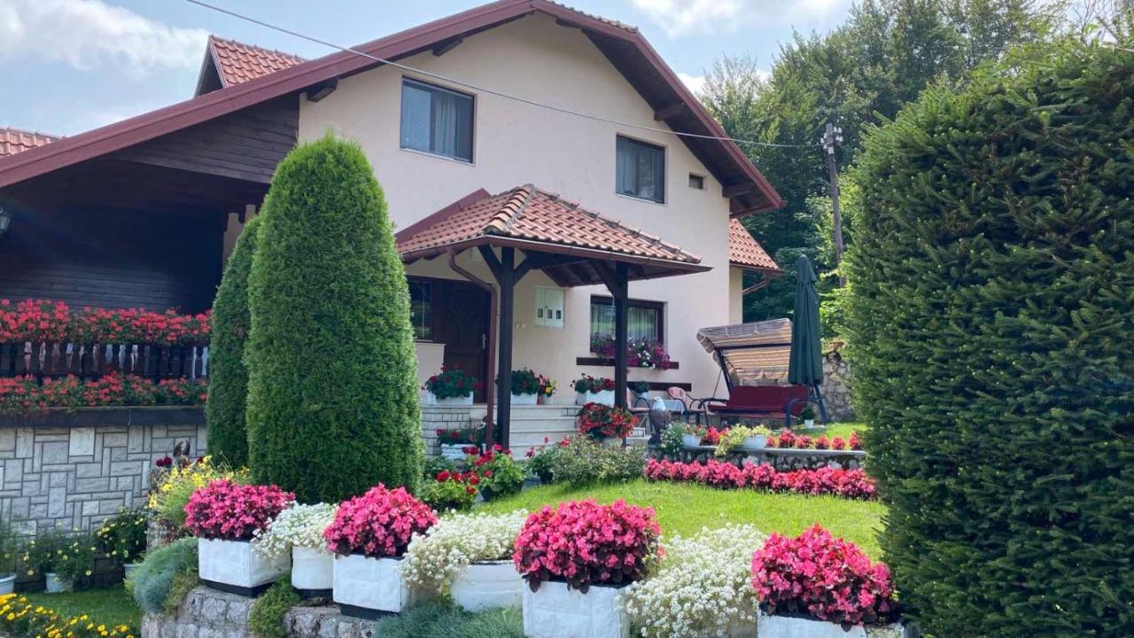 Apartment Vihor Златибор Экстерьер фото