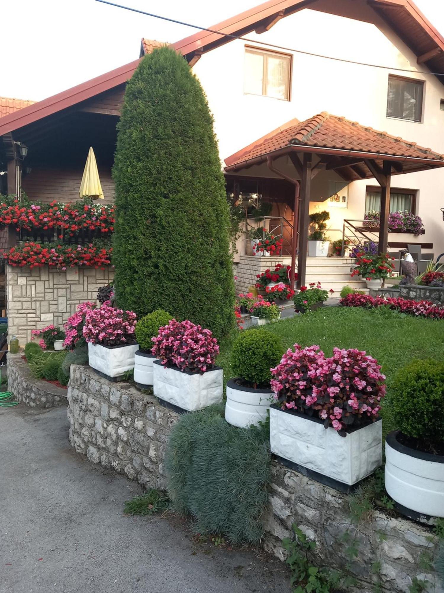 Apartment Vihor Златибор Экстерьер фото