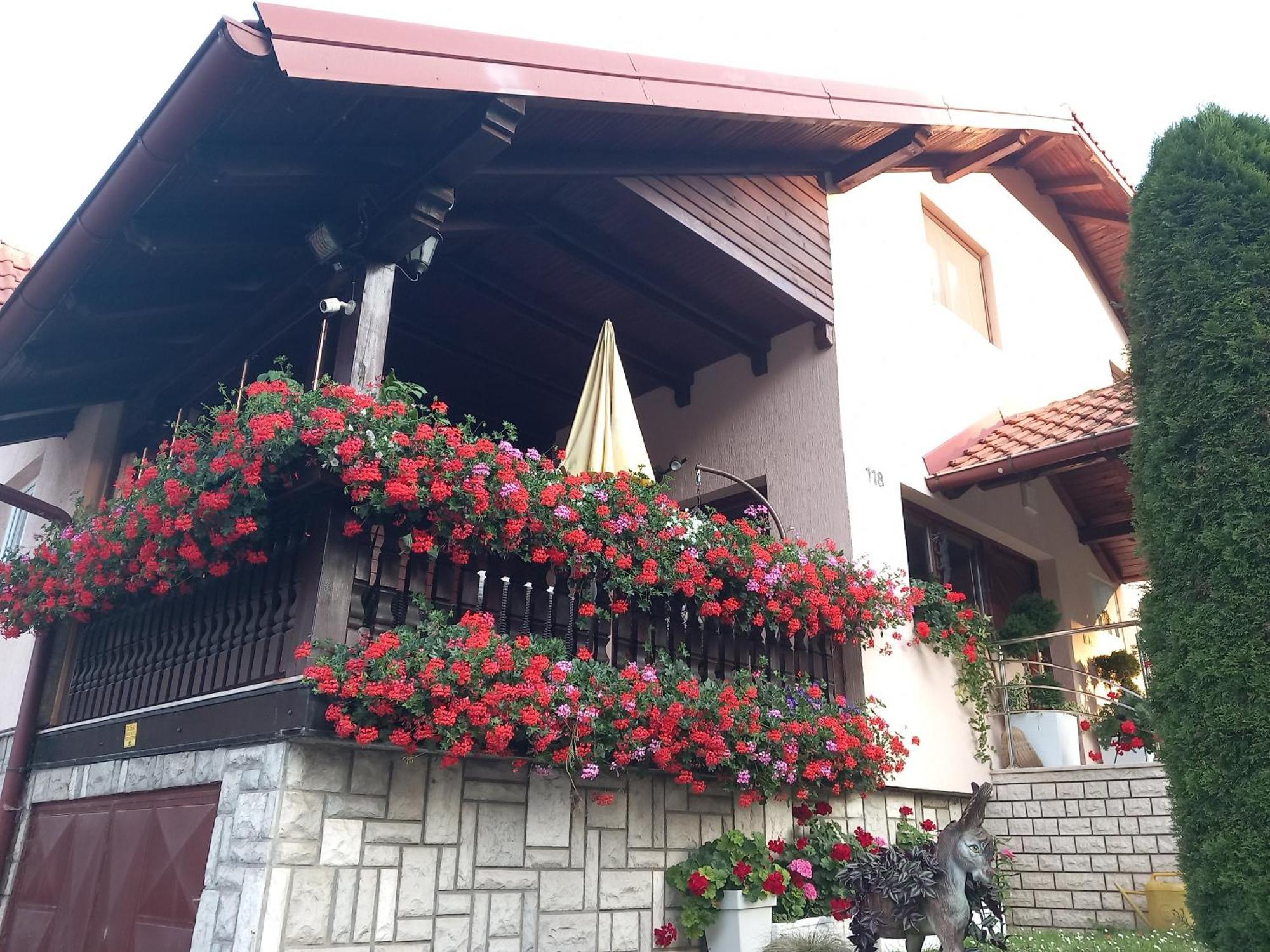 Apartment Vihor Златибор Экстерьер фото