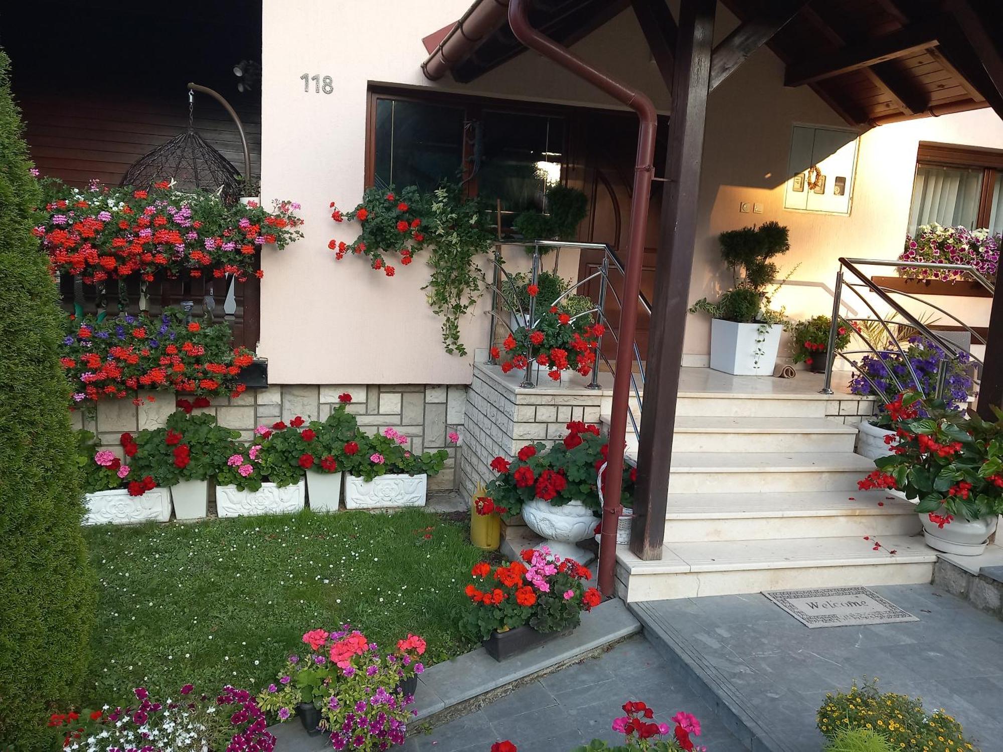 Apartment Vihor Златибор Экстерьер фото